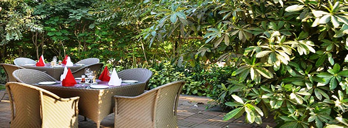 1903/Madhubhan Resort & Spa - Vallabh Vidyanagar 19.jpg